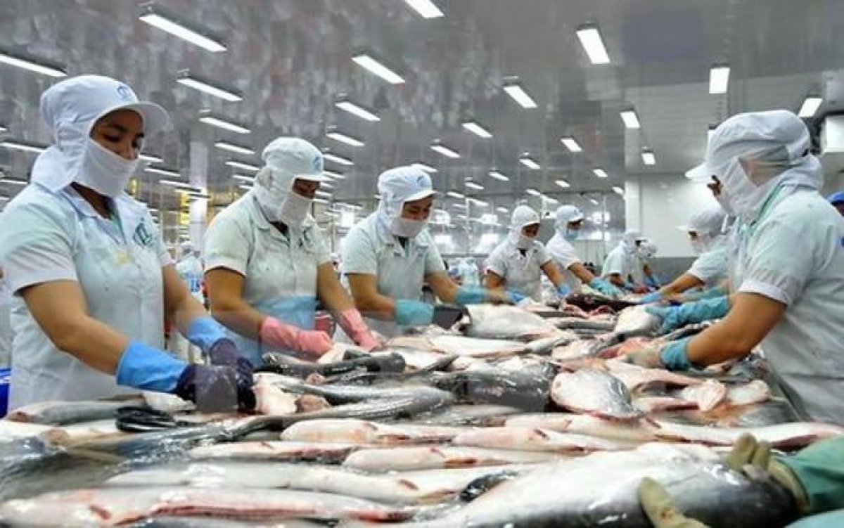 Tra fish enjoys impressive export growth